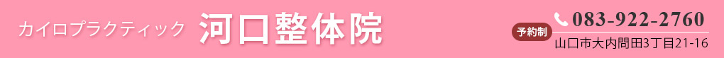 カイロプラクティック河口整体院